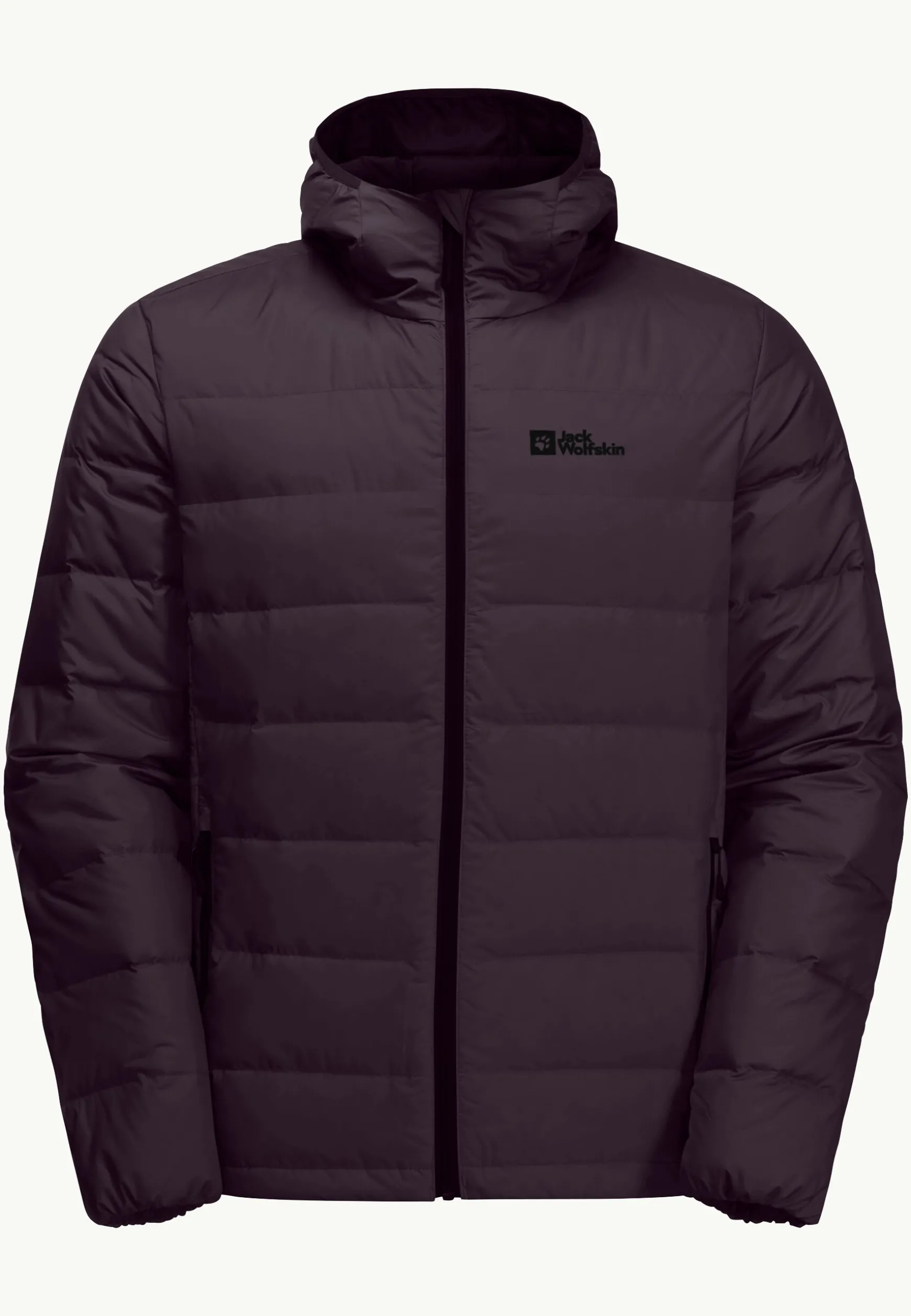 Ather Down Hoody M Rds