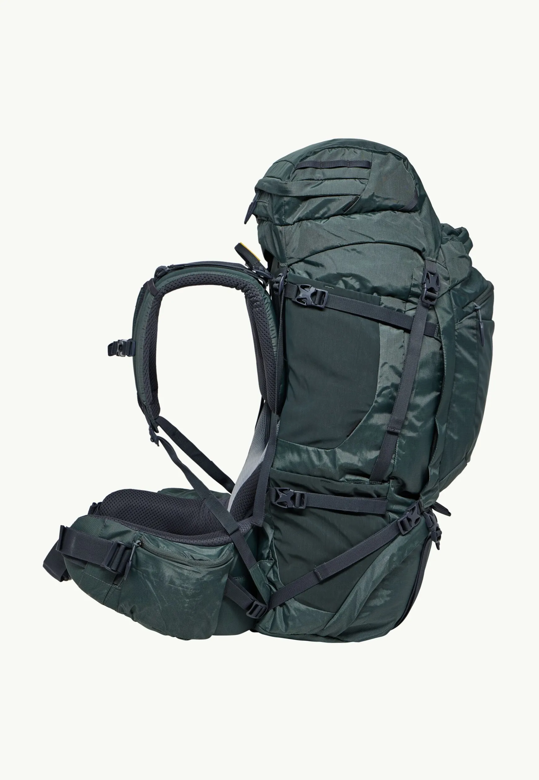 Denali 65|10 Men