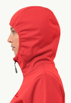 Feldberg Hoody W